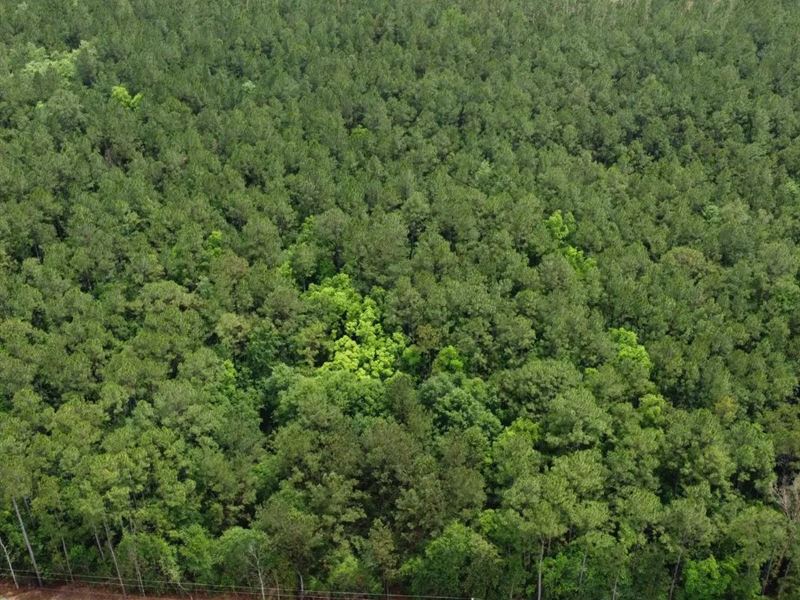 8.6 Acres in Harrison County in Sau : Saucier : Harrison County : Mississippi