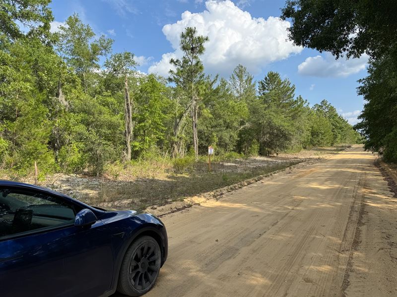 Private Lot Close to Lake Grandin : Interlachen : Putnam County : Florida