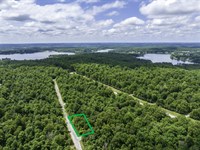 Spend Your Days on The Lake : Horseshoe Bend : Izard County : Arkansas