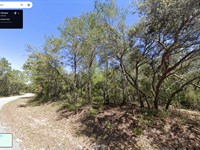 .24 Acre Close to Ocklawaha River : Ocklawaha : Marion County : Florida
