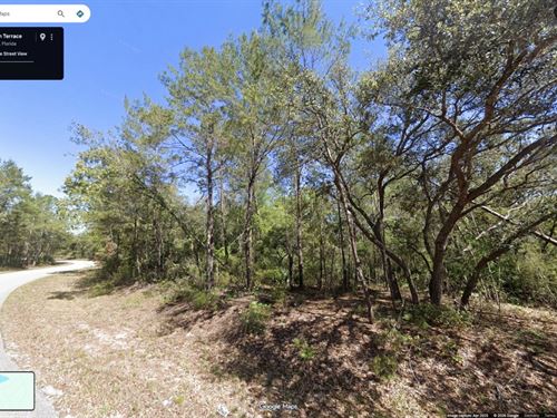 .24 Acre Close to Ocklawaha River : Ocklawaha : Marion County : Florida
