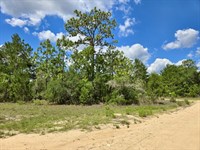 Perfect 0.14 Acre Corner Lot : Interlachen : Putnam County : Florida