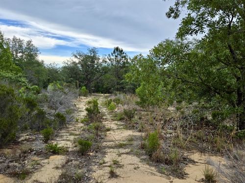 Nice Little Lot Between Lakes : Interlachen : Putnam County : Florida