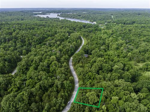 Creek Behind You, Lake Ahead : Horseshoe Bend : Izard County : Arkansas