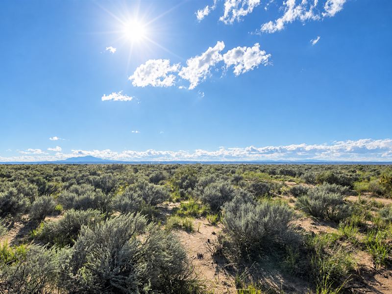 Rv-Friendly Land Near Belen, NM : Los Lunas : Valencia County : New Mexico
