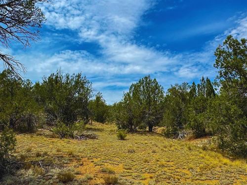 Next to Public Land for $275-450/Mo : Seligman : Yavapai County : Arizona