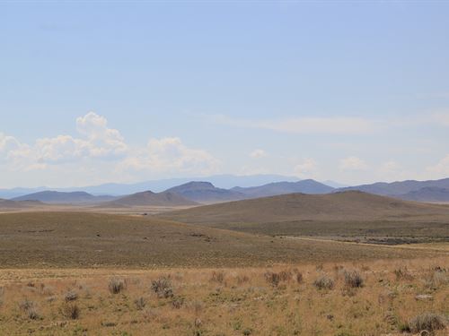 Next to Public Land, Room to Roam : Blanca : Costilla County : Colorado