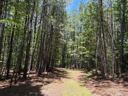 18 Acres Buhl Homesite : Buhl : Tuscaloosa County : Alabama