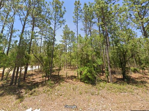 Say Goodbye to Rent $299 Down : Dunnellon : Marion County : Florida