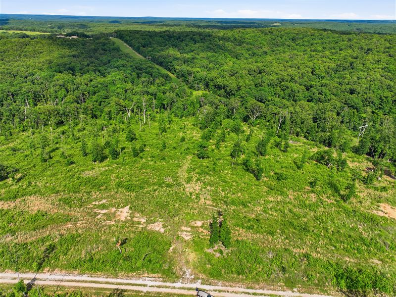 7.24 Acres Mountain View, MO : Mountain View : Howell County : Missouri