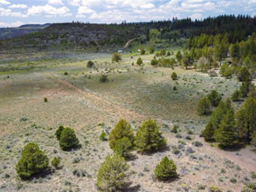 A Base Camp in The Pines : Chiloquin : Klamath County : Oregon