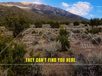 RV Friendly, Trees & No Zoning : Montello : Elko County : Nevada