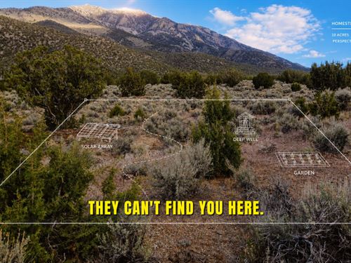 RV Friendly, Trees & No Zoning : Montello : Elko County : Nevada