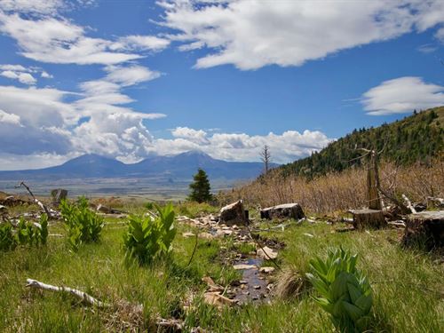 Tres Valles West 36, Laveta, CO 81 : La Veta : Huerfano County : Colorado