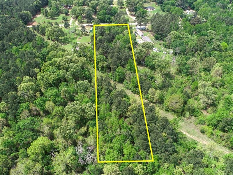 2.99 Acres, County Road 428 : Tyler : Smith County : Texas