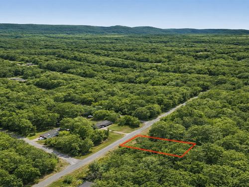 .26 Acre in Lake Tansi Resort : Crossville : Cumberland County : Tennessee