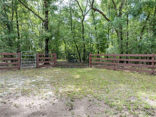 Beautiful Suwannee River : Live Oak : Suwannee County : Florida
