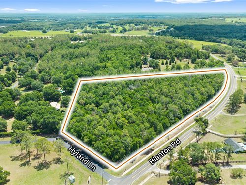 Blanton Road 7.38 Acre Land : Dade City : Pasco County : Florida