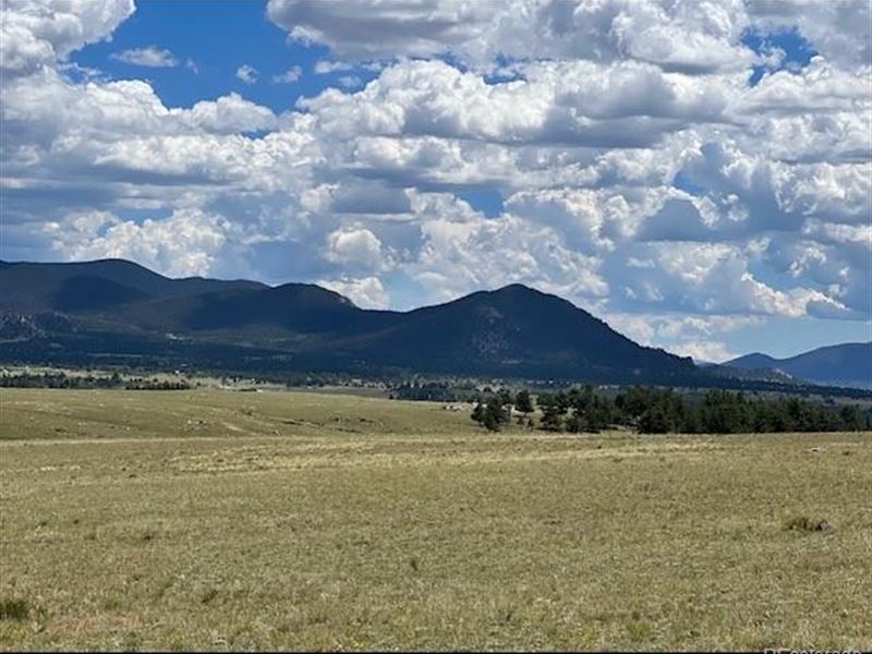Beautiful 5 Acre Parcel : Hartsel : Park County : Colorado