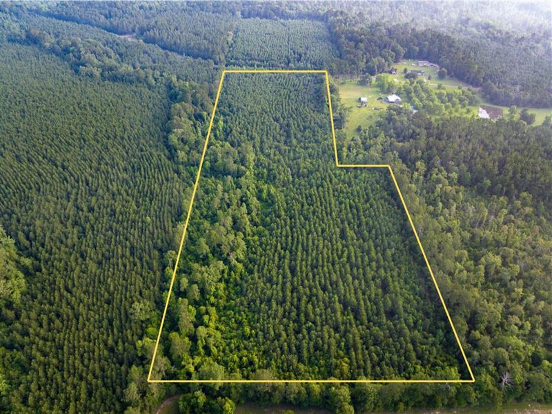 15 Acres, T-1, Dido Loop, Louisi : Pitkin : Vernon Parish : Louisiana