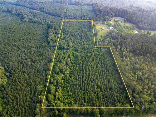 15 Acres, T-1, Dido Loop, Louisi : Pitkin : Vernon Parish : Louisiana