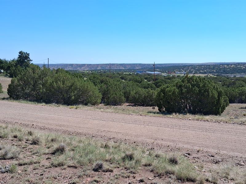 Open Desert Lot Near Road Access : Concho : Apache County : Arizona
