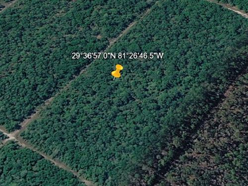 Affordable Big Property $199 Down : Flagler Estates : Flagler County : Florida