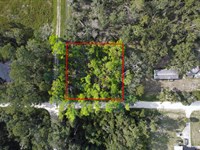 Build or Camp Near Suwannee River : Live Oak : Suwannee County : Florida