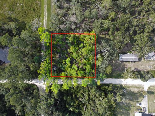 Build or Camp Near Suwannee River : Live Oak : Suwannee County : Florida