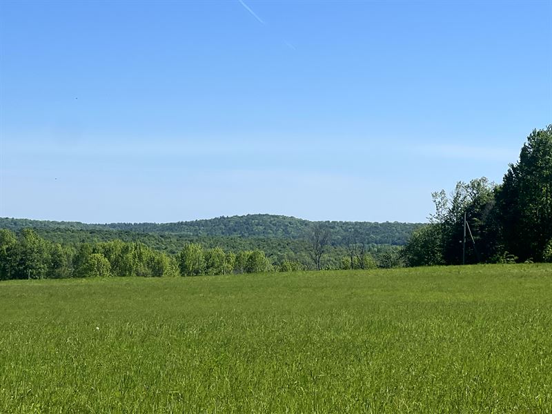 Southern Tier Woods & Meadow : Guilford : Chenango County : New York