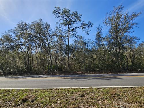 Build Your Florida Dream : Interlachen : Putnam County : Florida
