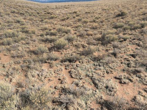4.91 Acres for Just 169/Mo : San Luis : Costilla County : Colorado