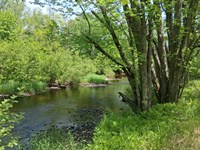 10 Acres with 400' Waterfront : Tripoli : Lincoln County : Wisconsin