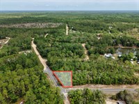 Paved Road and Power 0.24/Ac in FL : Interlachen : Putnam County : Florida