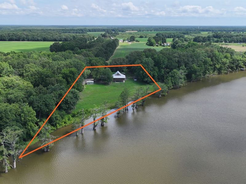 Waterfront Cabin on 2.64 Seclud : Des Arc : Prairie County : Arkansas