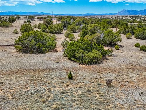Lot 289 Greenhorn Village, Walsenbu : Walsenburg : Huerfano County : Colorado