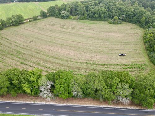 12 Acres Hwy 103 Minifarm : Slocomb : Geneva County : Alabama