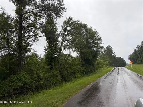 2 Acre Lot North Pike School Distri : Summit : Pike County : Mississippi