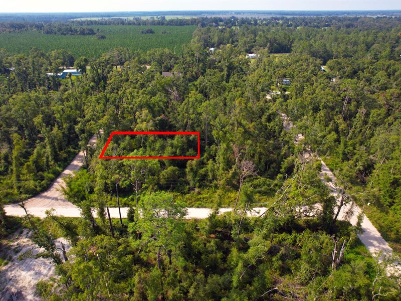 Expandable Residential Property : Suwannee : Suwannee County : Florida