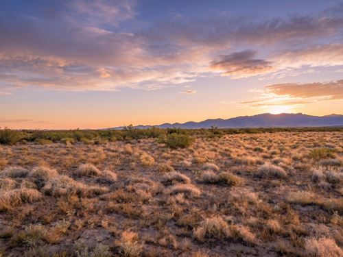 Your Desert Escape for $59 Down : Deming : Luna County : New Mexico