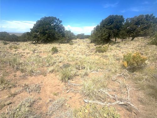 Discover The Beauty of Crestone : Crestone : Saguache County : Colorado