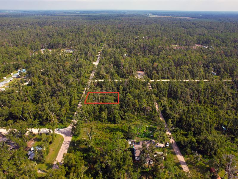 Expandable Lot Near Suwannee River : Live Oak : Suwannee County : Florida