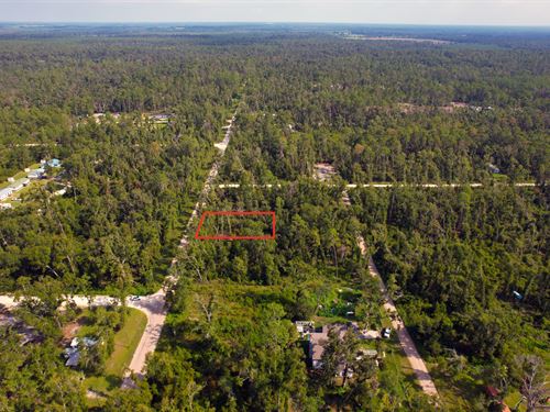 Expandable Lot Near Suwannee River : Live Oak : Suwannee County : Florida