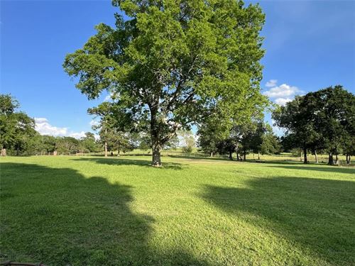 Hill Creek 7 : Montgomery : Texas