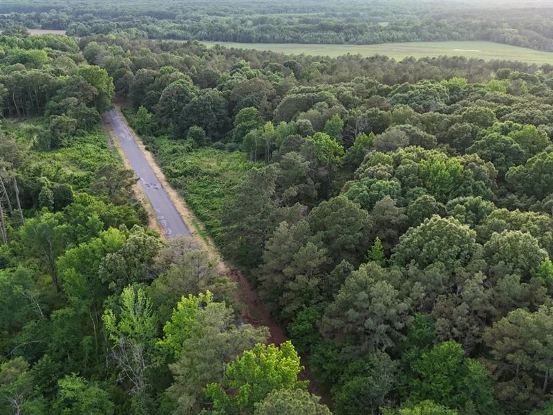 5.76 Acres Panola County, MS : Sardis : Panola County : Mississippi