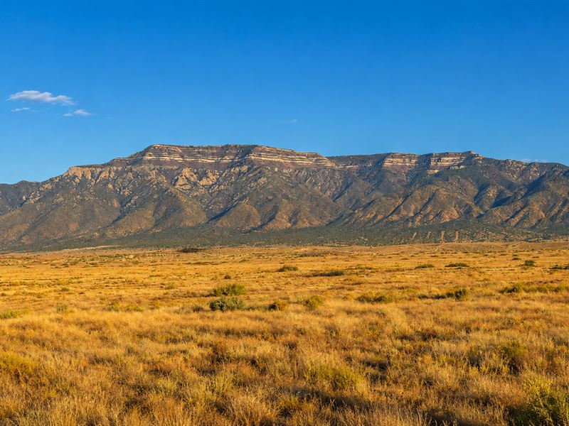 Buy & Hold Opportunity Near Belen : Los Lunas : Valencia County : New Mexico