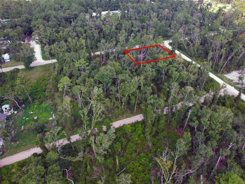 Corner Lot with More Parcels Nearby : Live Oak : Suwannee County : Florida