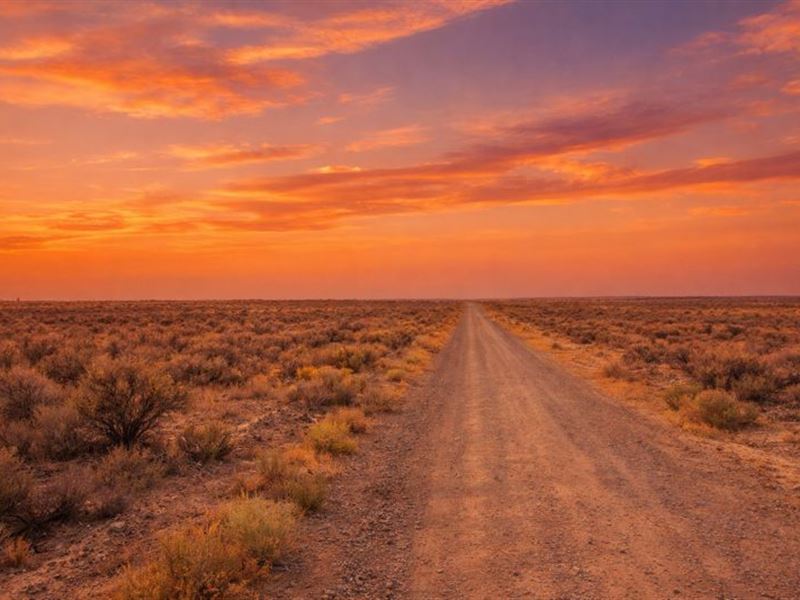 Nevada Dream Lot $350 Down Only : Deeth : Elko County : Nevada
