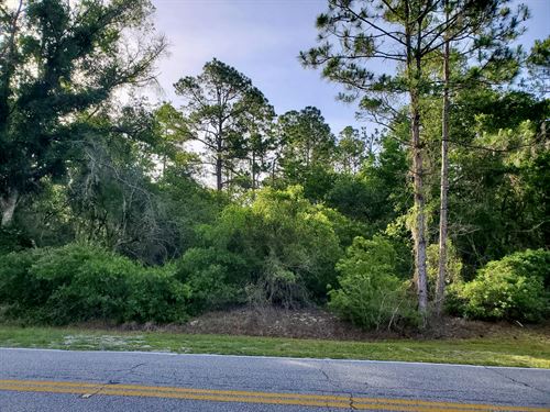 Fantastic Building Lot with Power : Georgetown : Putnam County : Florida