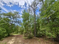 .55 Acre Building Lot with Power : Interlachen : Putnam County : Florida